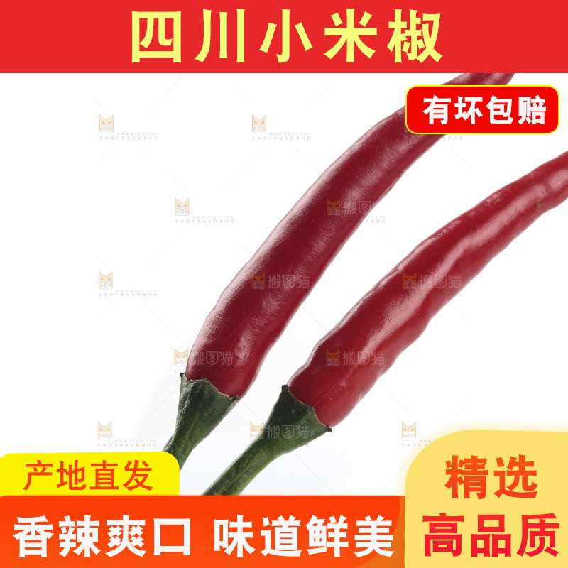 小米辣