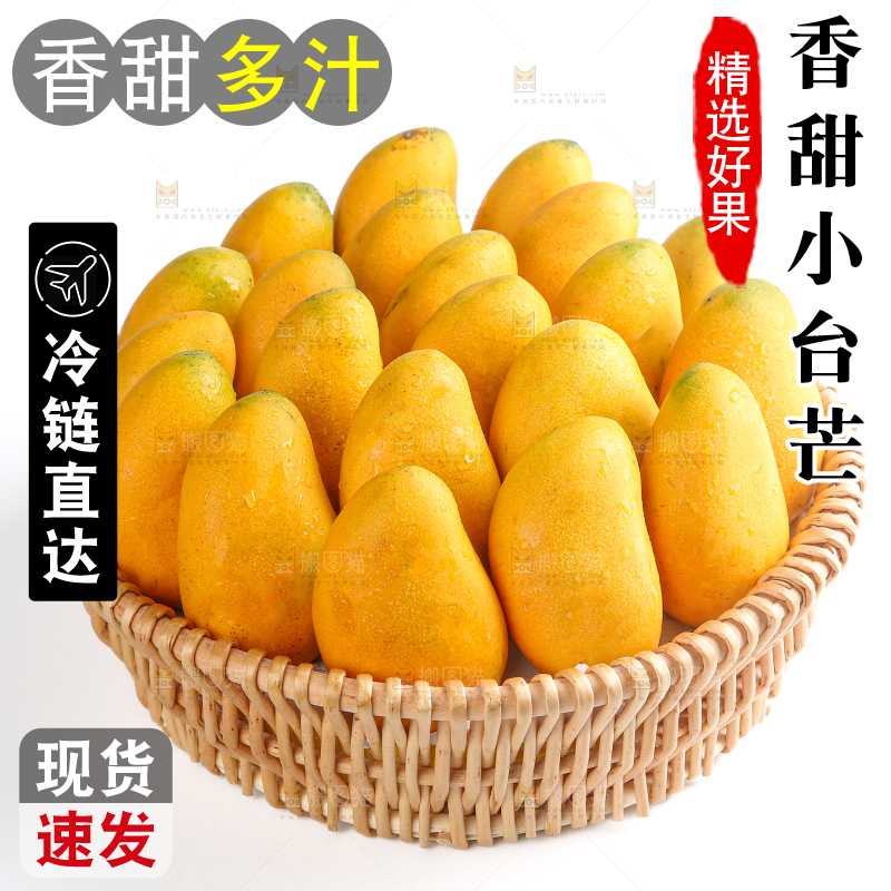 小台芒