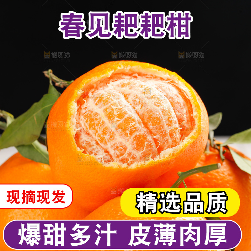 春见耙耙柑