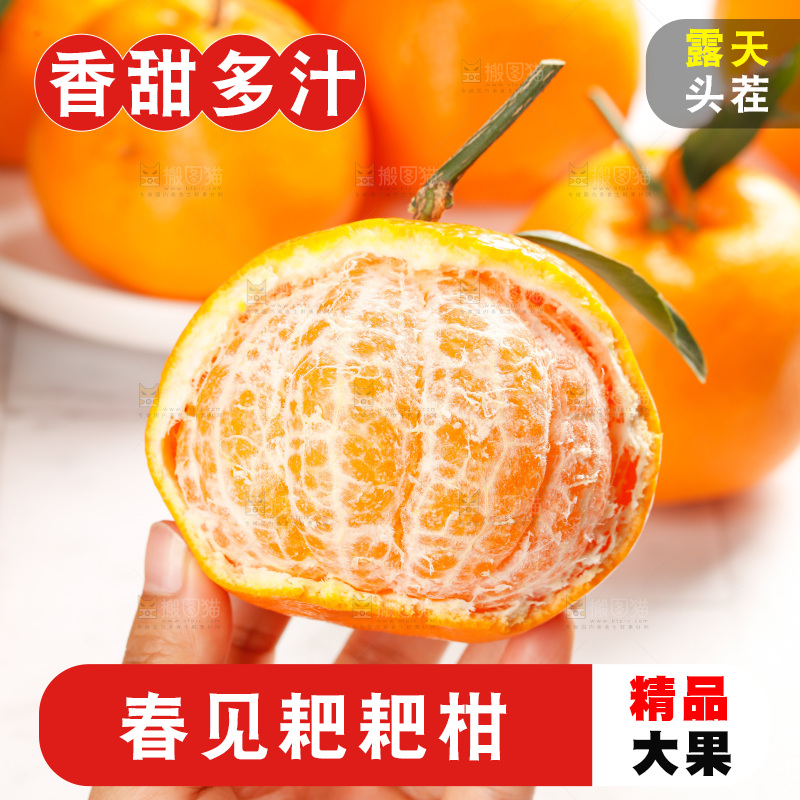 春见耙耙柑