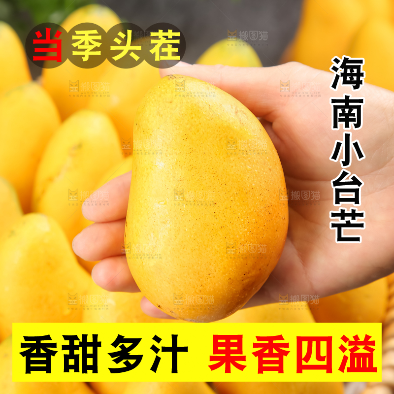 小台芒