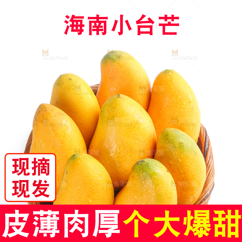 小台芒