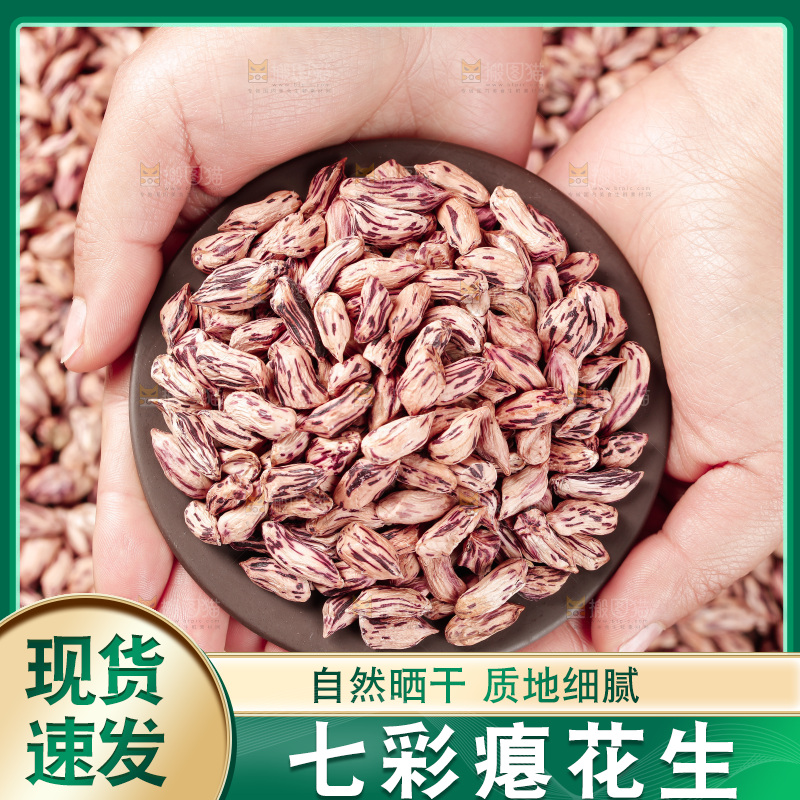 七彩瘪花生