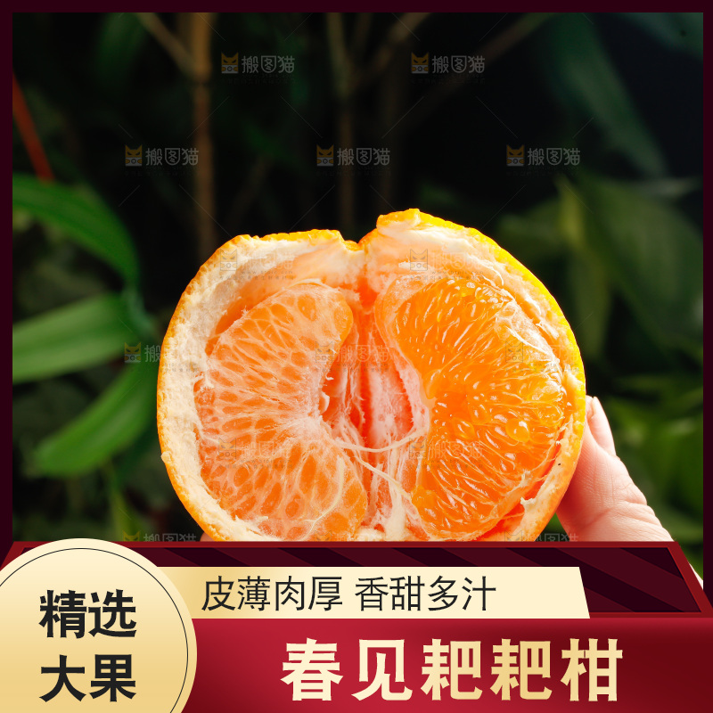 春见耙耙柑