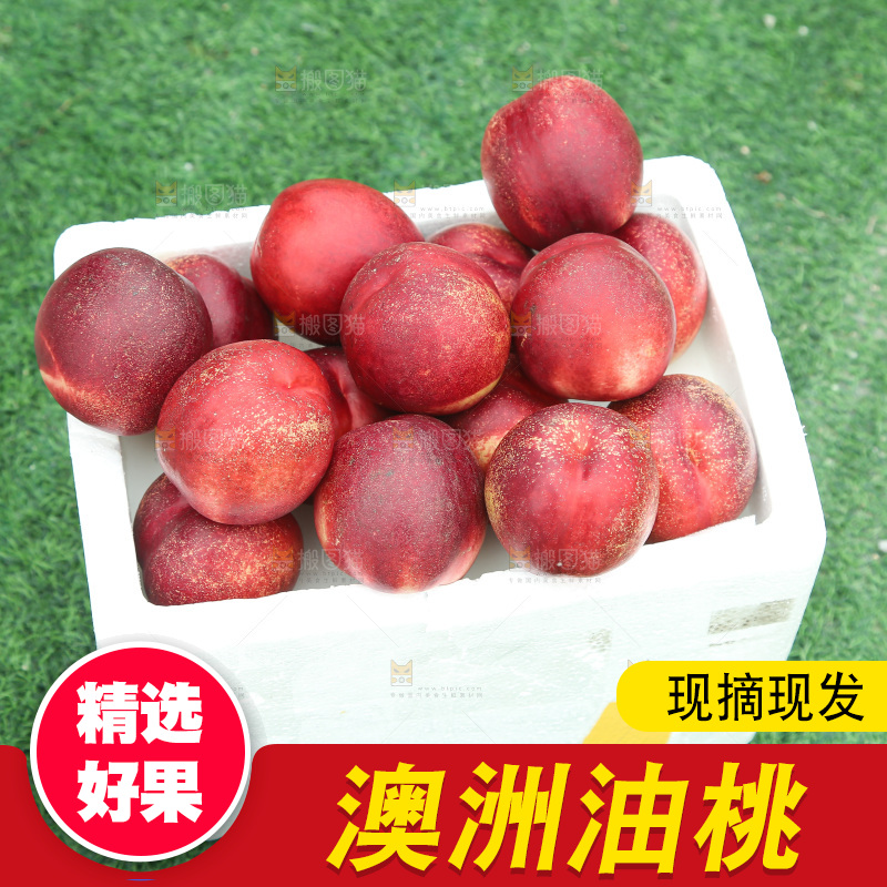 澳洲油桃