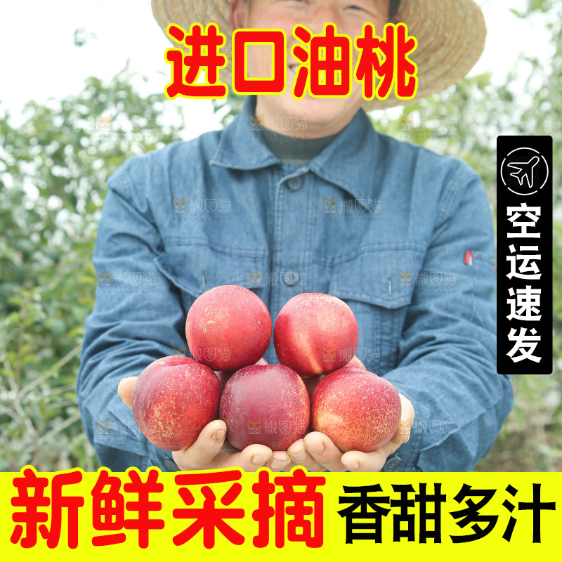 澳洲油桃