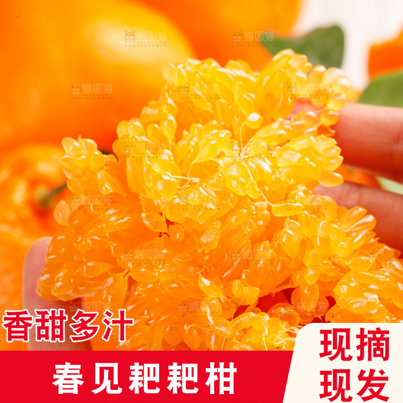 春见耙耙柑