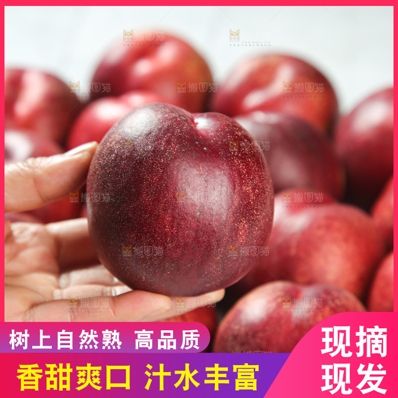 澳洲油桃