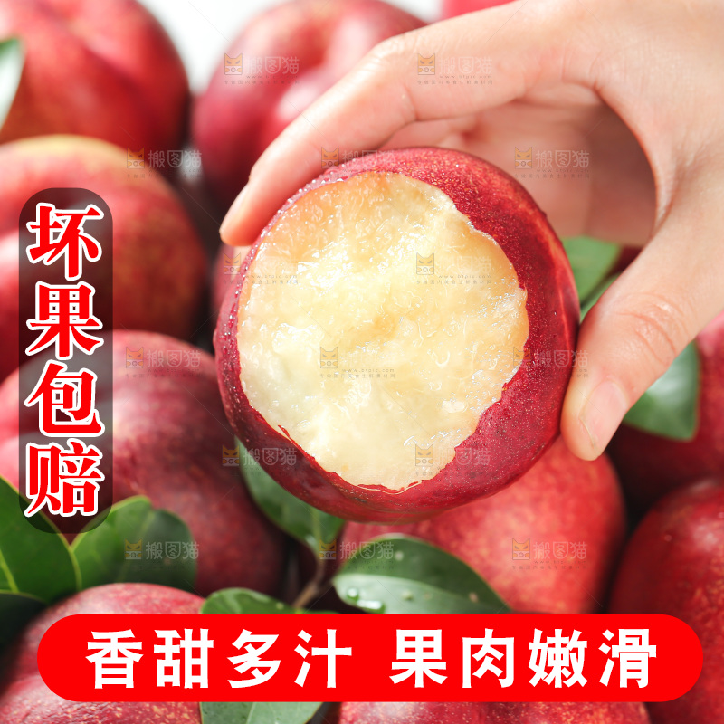 澳洲油桃