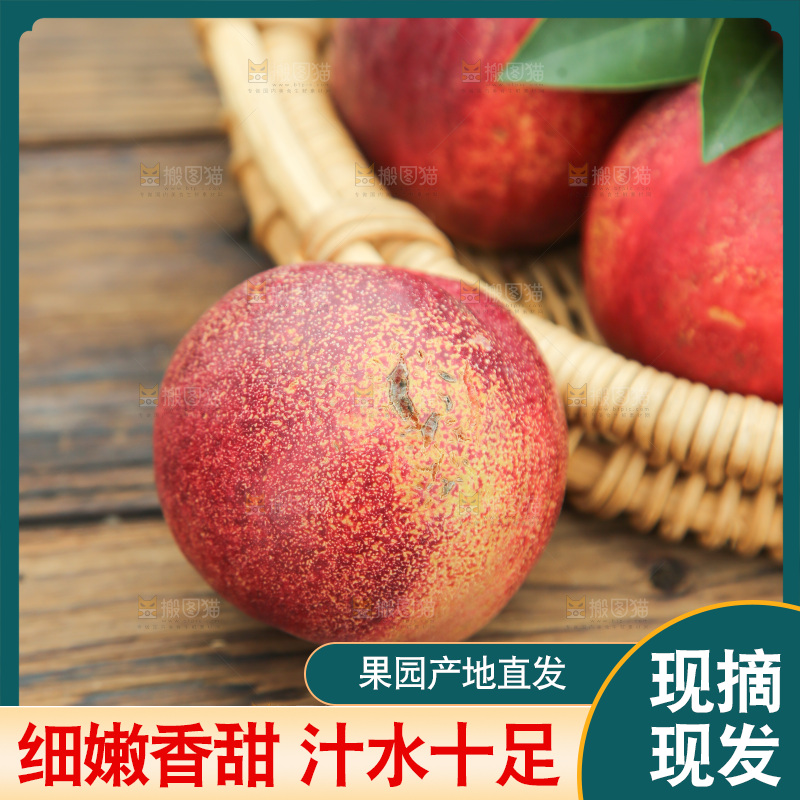 澳洲油桃