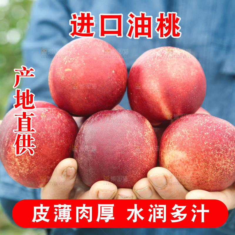 澳洲油桃