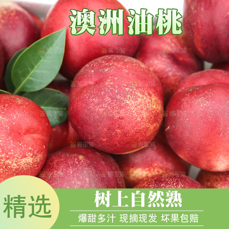 澳洲油桃