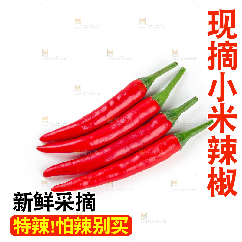 小米辣