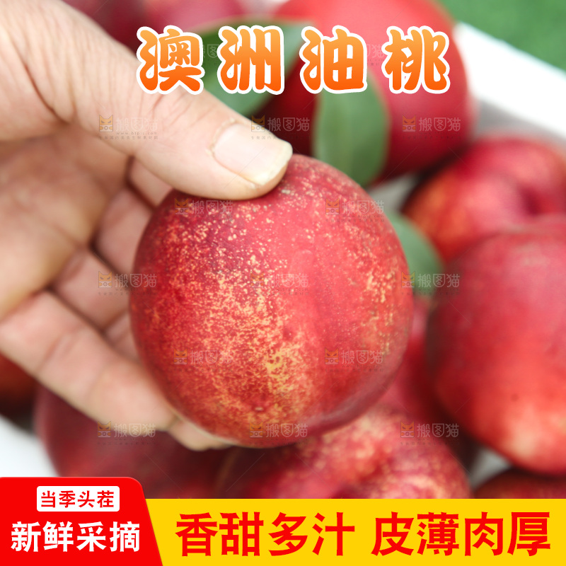 澳洲油桃