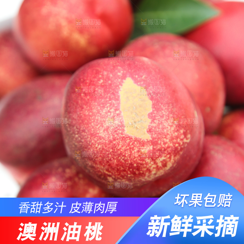 澳洲油桃