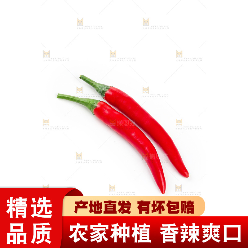 小米辣