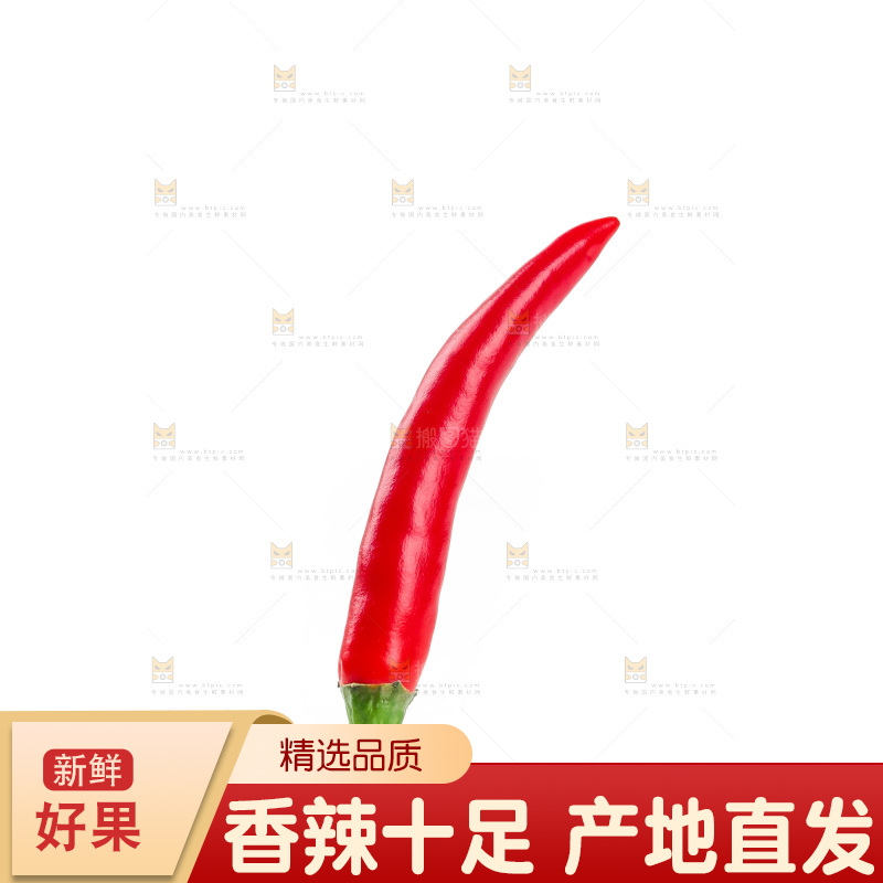 小米辣