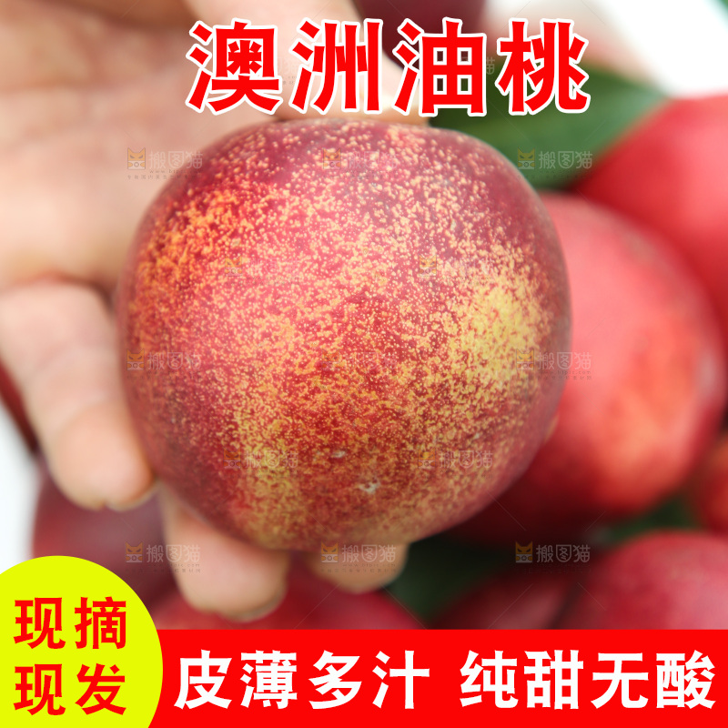 澳洲油桃