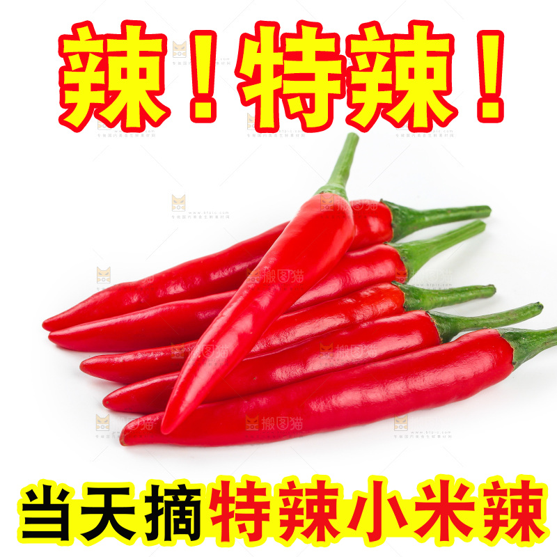 小米辣