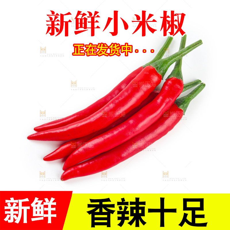 小米辣