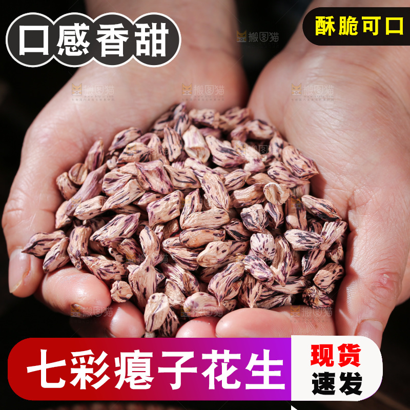 七彩瘪花生