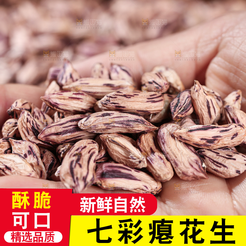 七彩瘪花生
