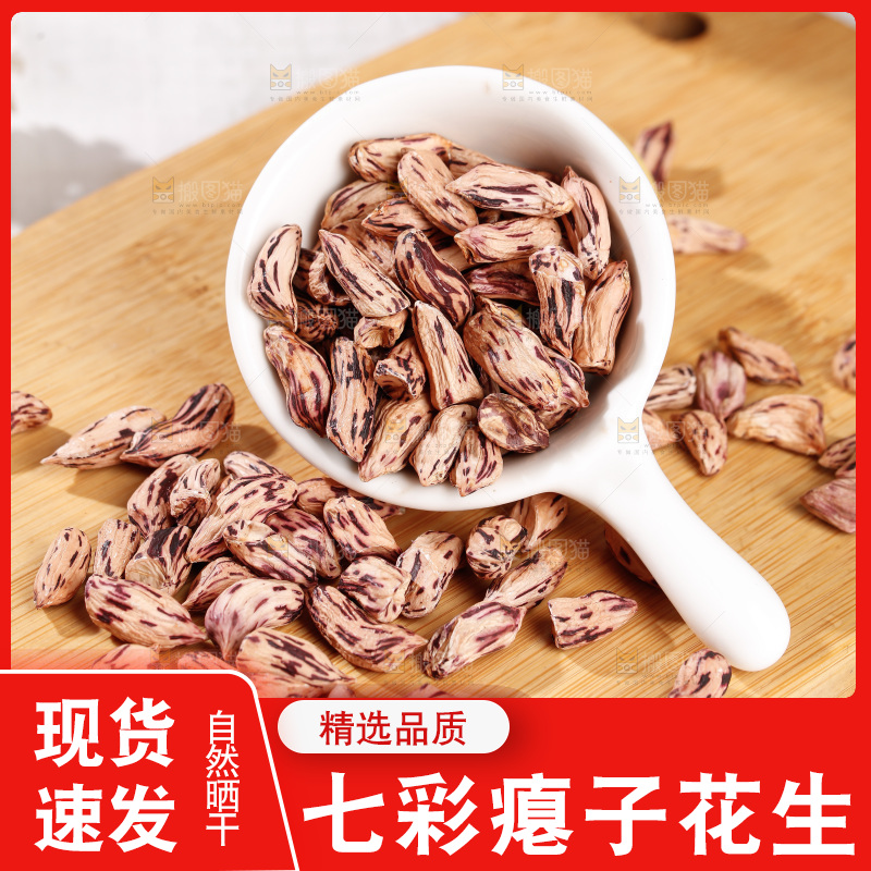 七彩瘪花生