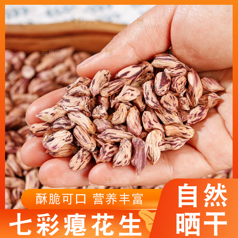 七彩瘪花生