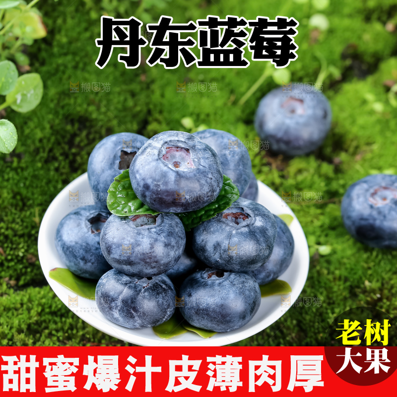蓝莓