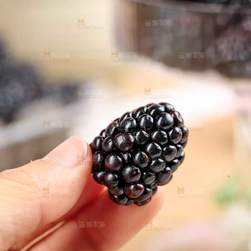 黑莓