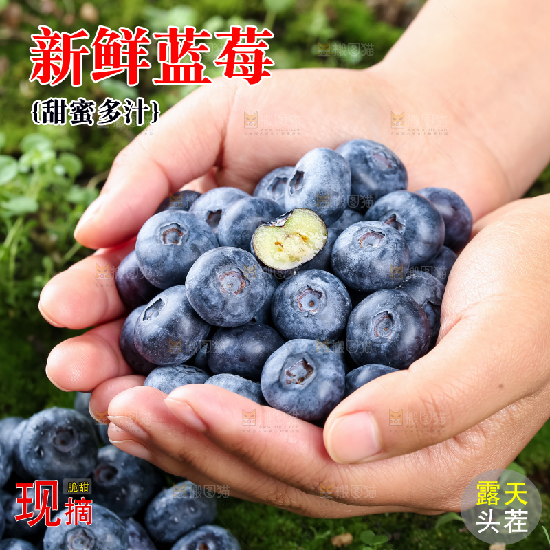 蓝莓