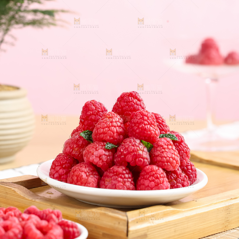 红树莓