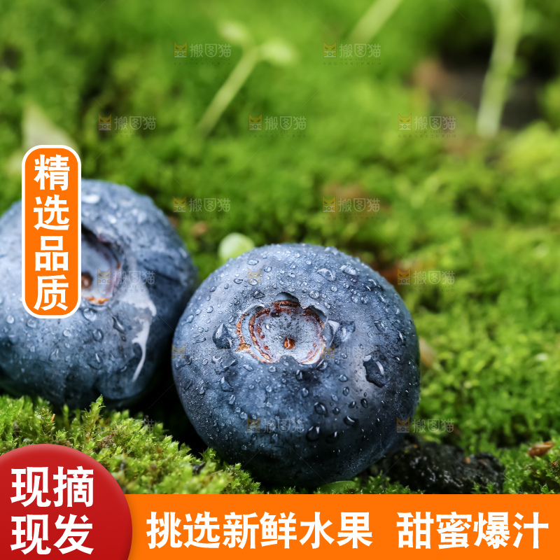 蓝莓