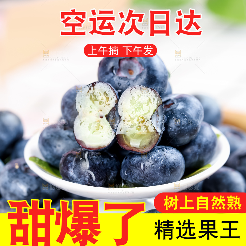 蓝莓