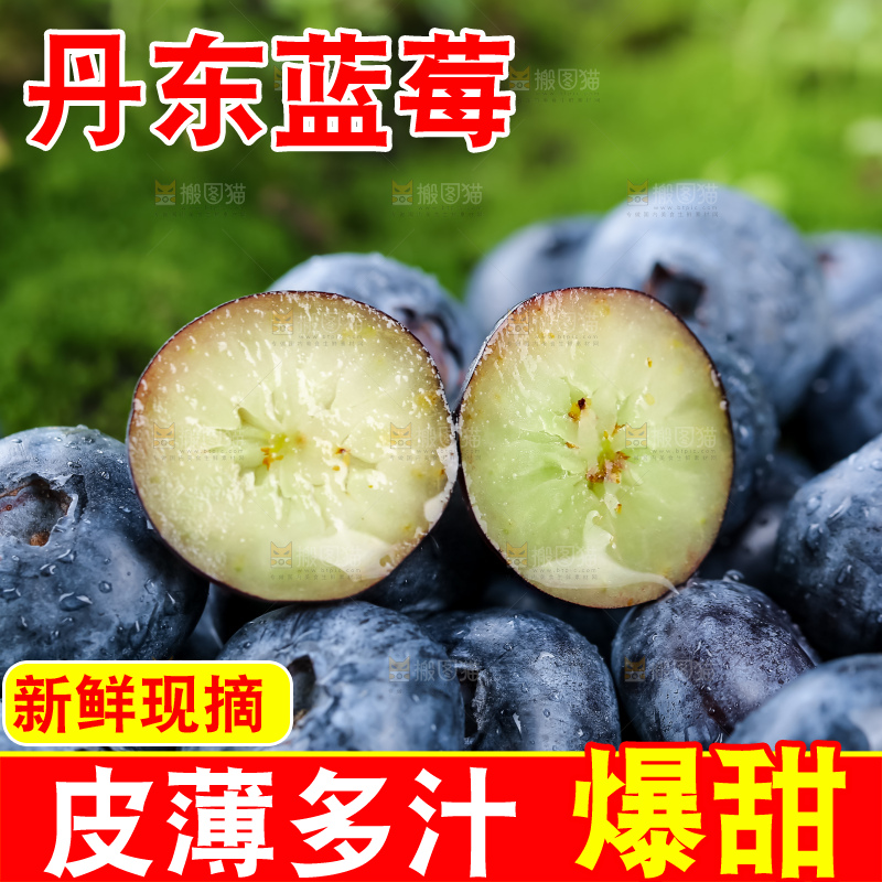 蓝莓