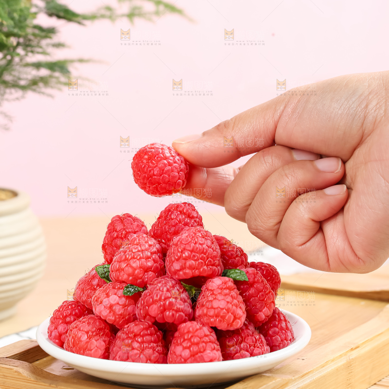 红树莓