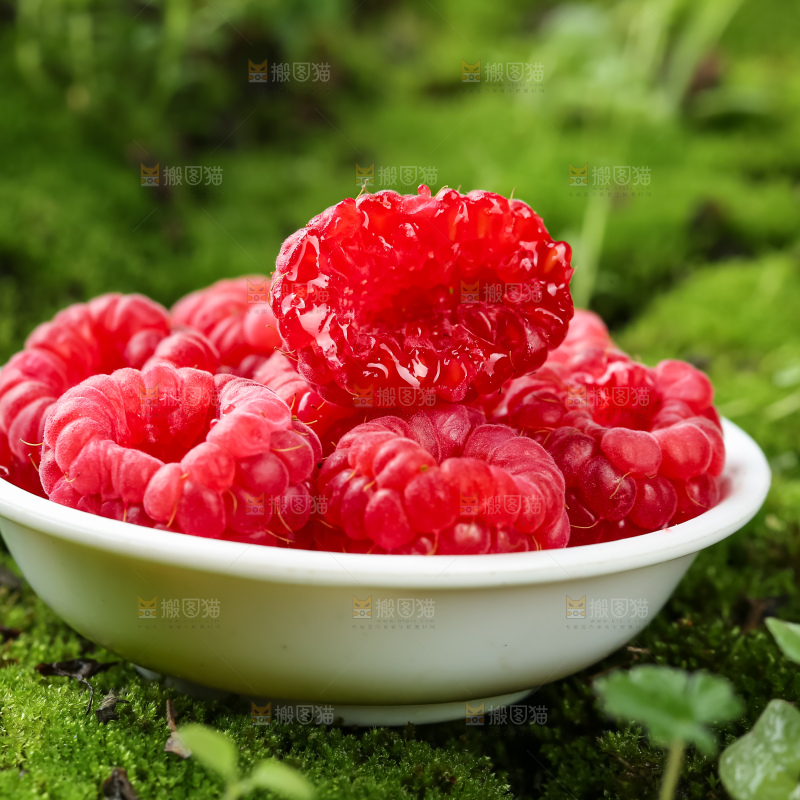红树莓