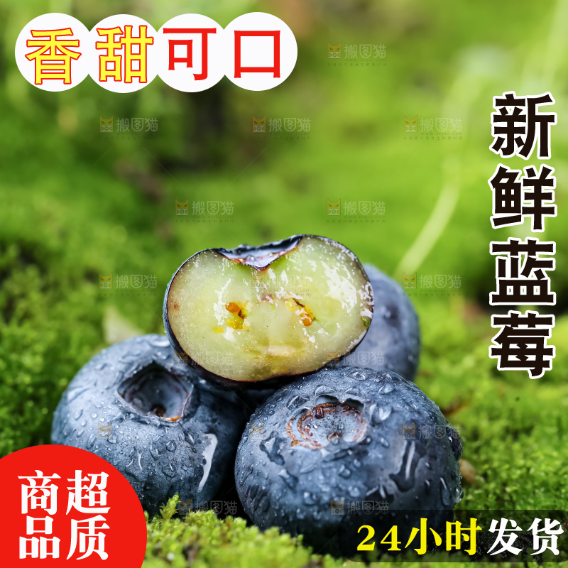 蓝莓