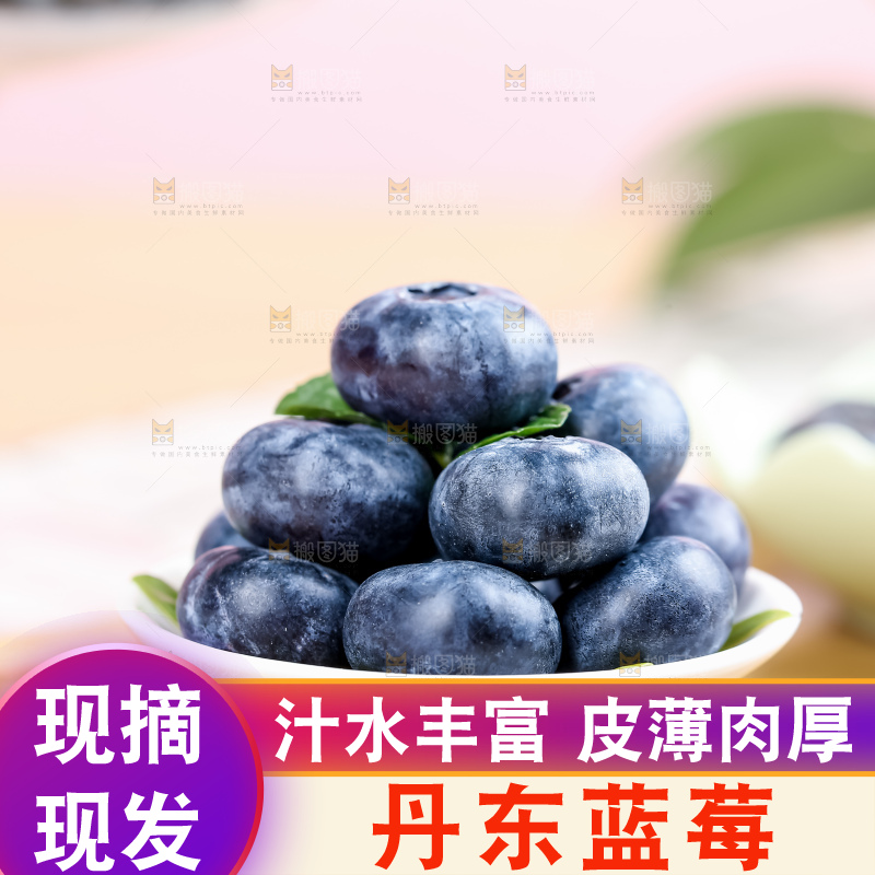 蓝莓