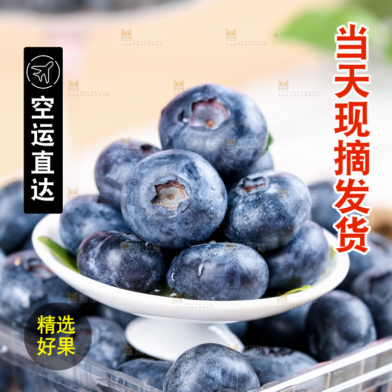 蓝莓