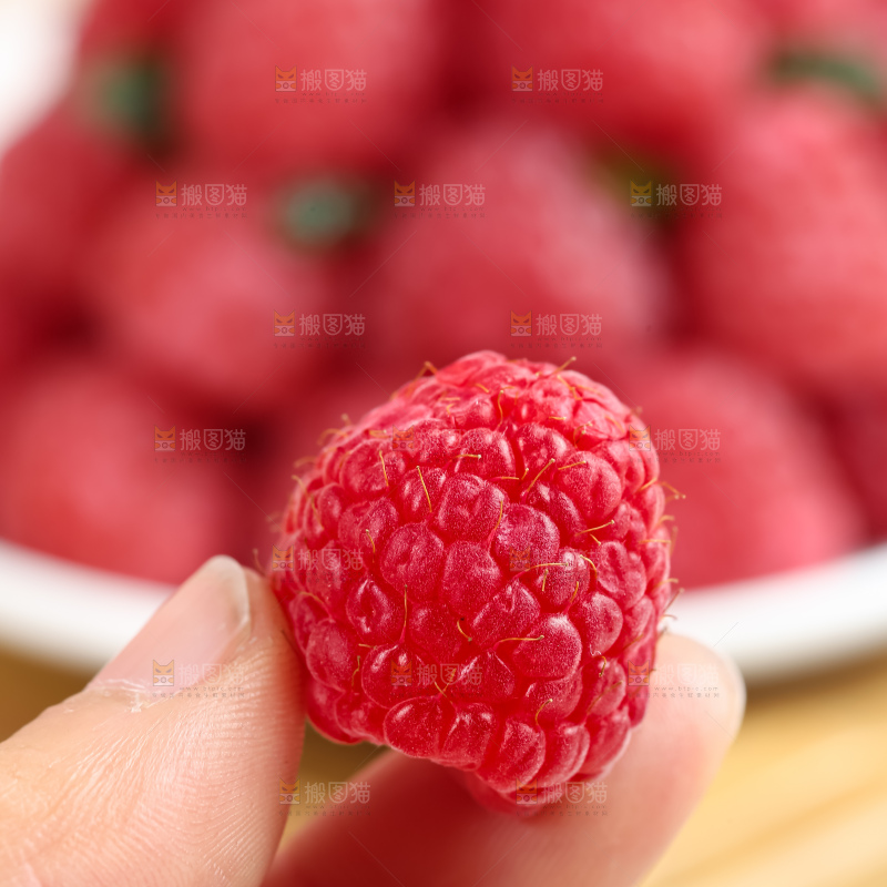 红树莓