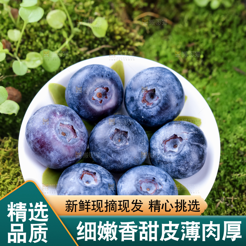 蓝莓