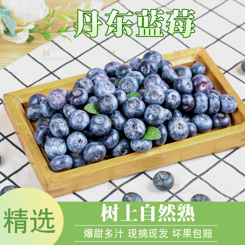 蓝莓