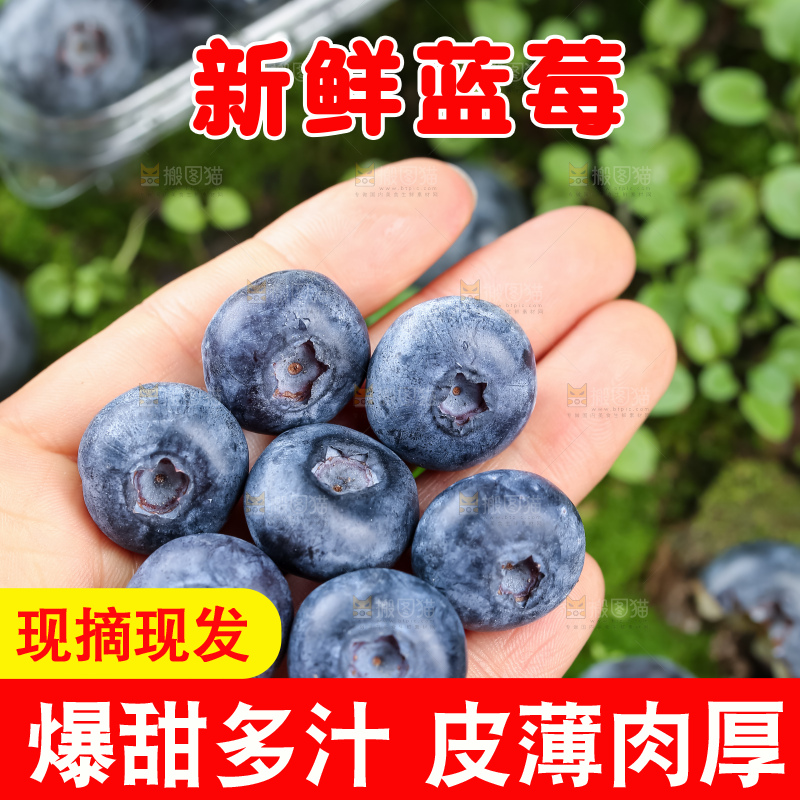 蓝莓