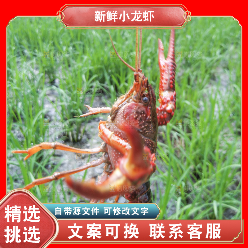小龙虾
