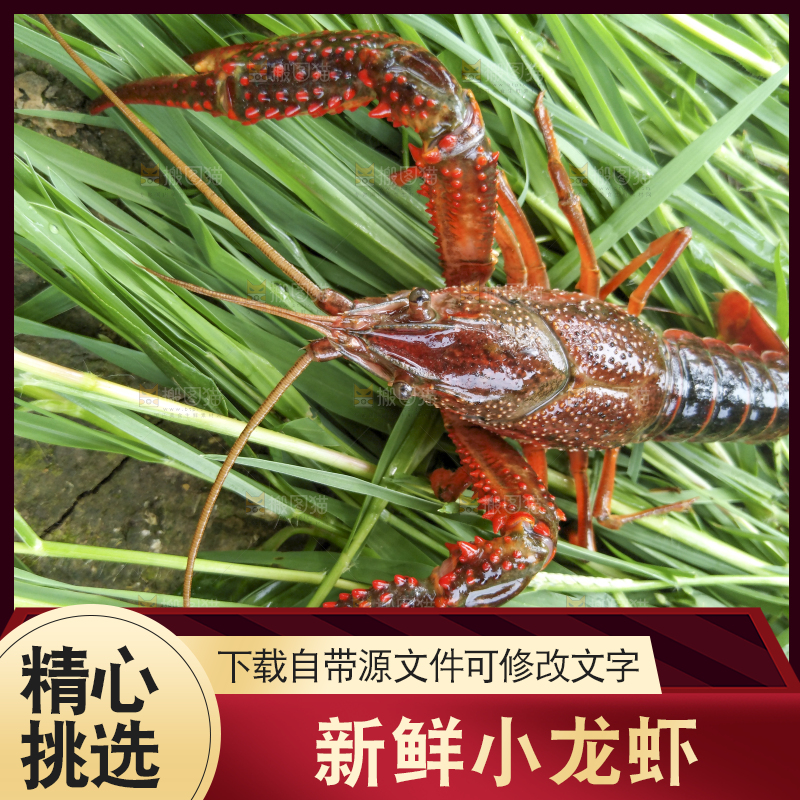 小龙虾