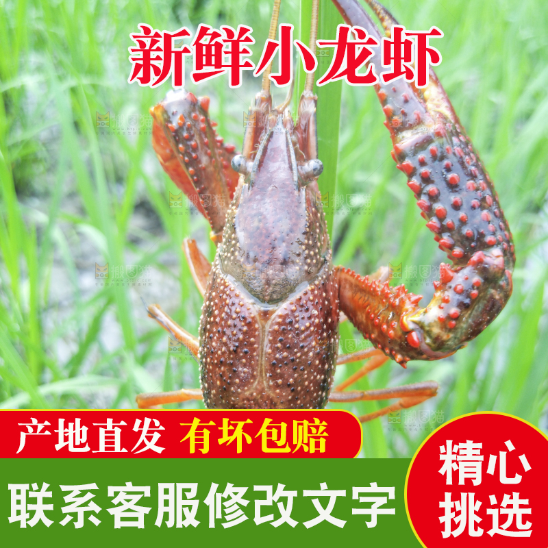 小龙虾