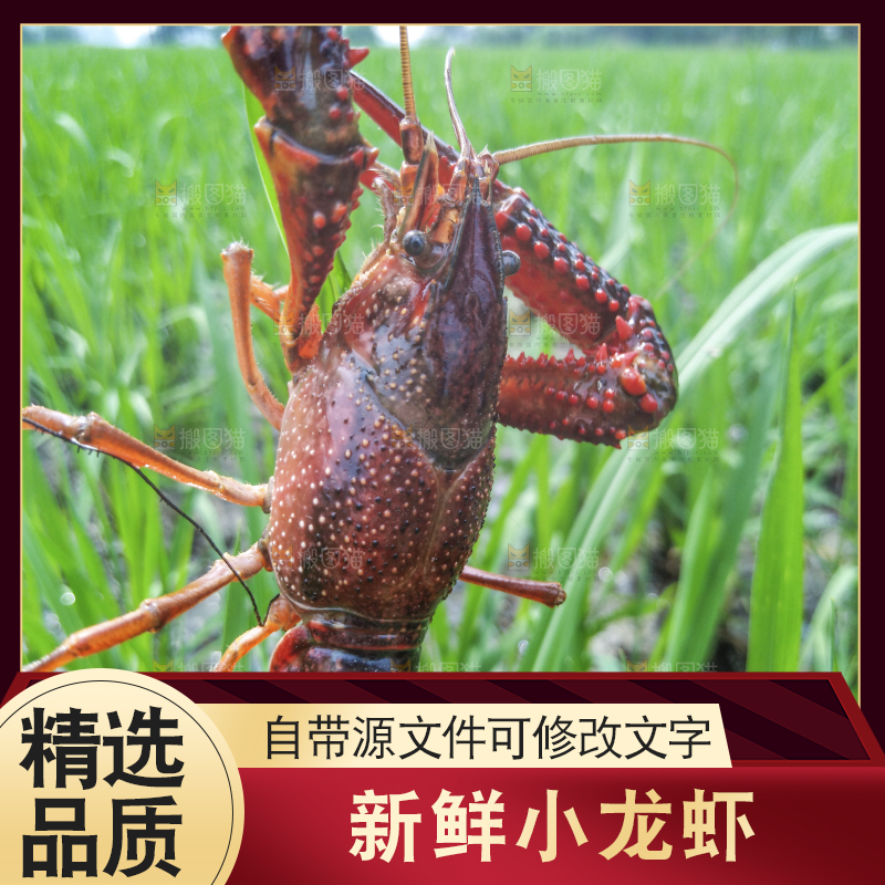 小龙虾