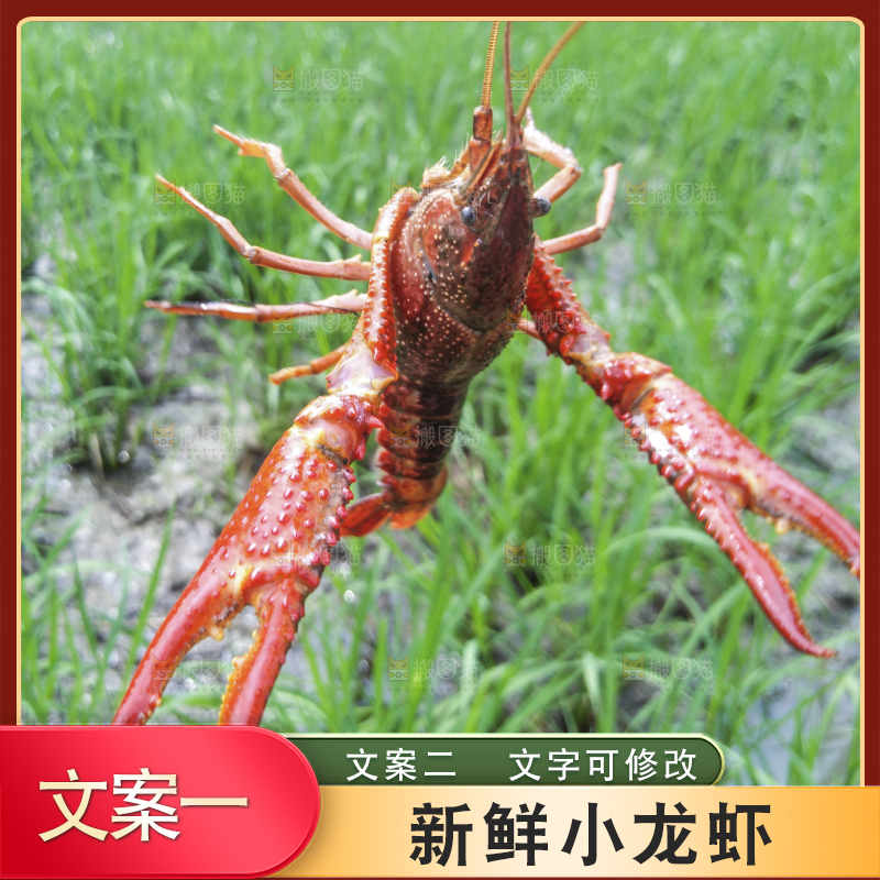 小龙虾