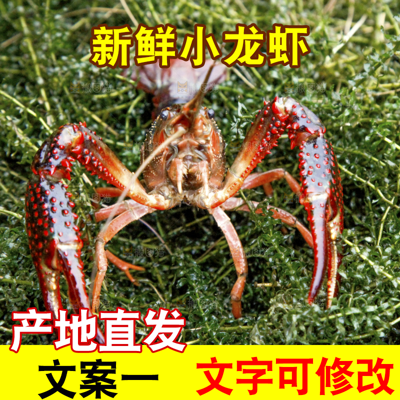 小龙虾